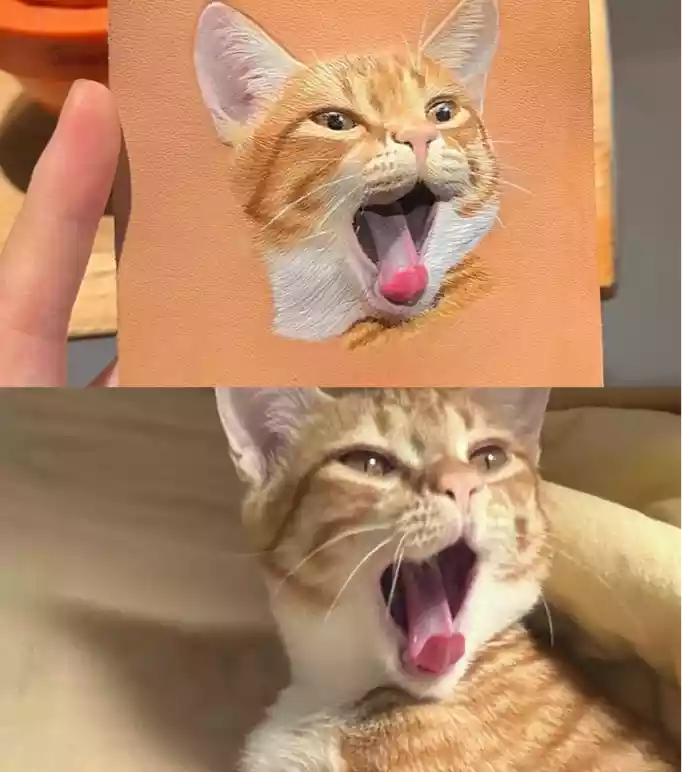 Square leather pet portrait emboss featuring an orange tabby cat, shown above the real cat.