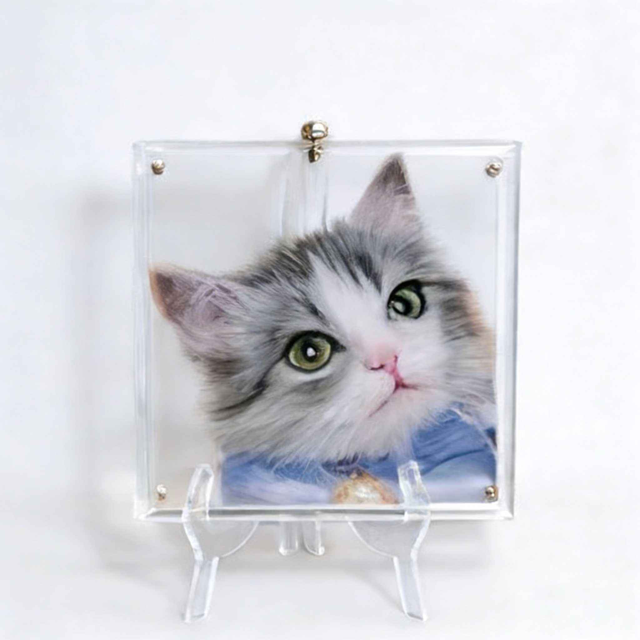 Custom Felt Art Cat Portrait Pet Memorial Gift