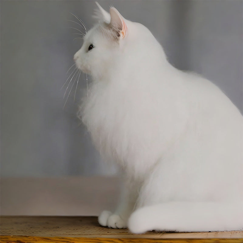 3D Custom Plush Full-Body Pet Portrait