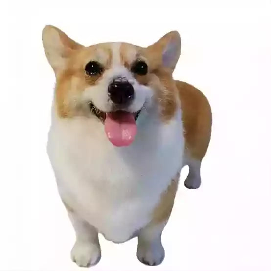 Custom 3D Wool Felt Pet Portrait 