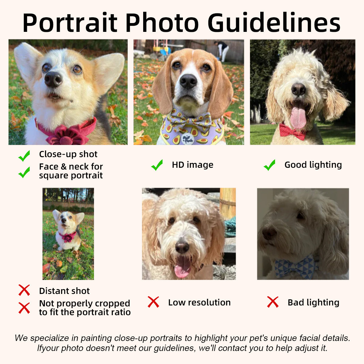 3D Custom Plush Full-Body Pet Portrait