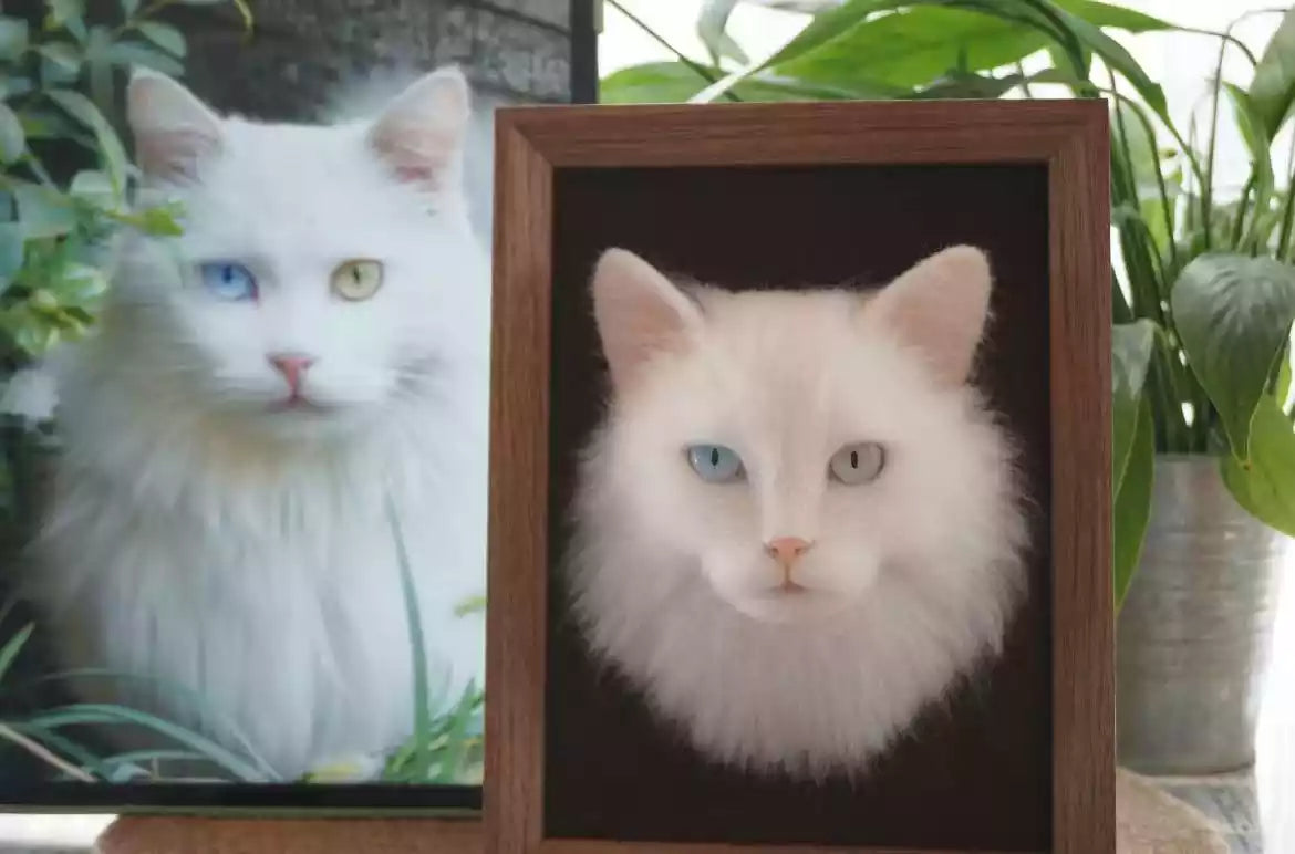 Photo-to-portrait comparison: white cat photo beside a framed custom felt cat portrait.