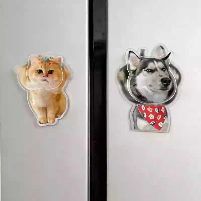 custom acrylic pet fridge magnet on refrigerator
