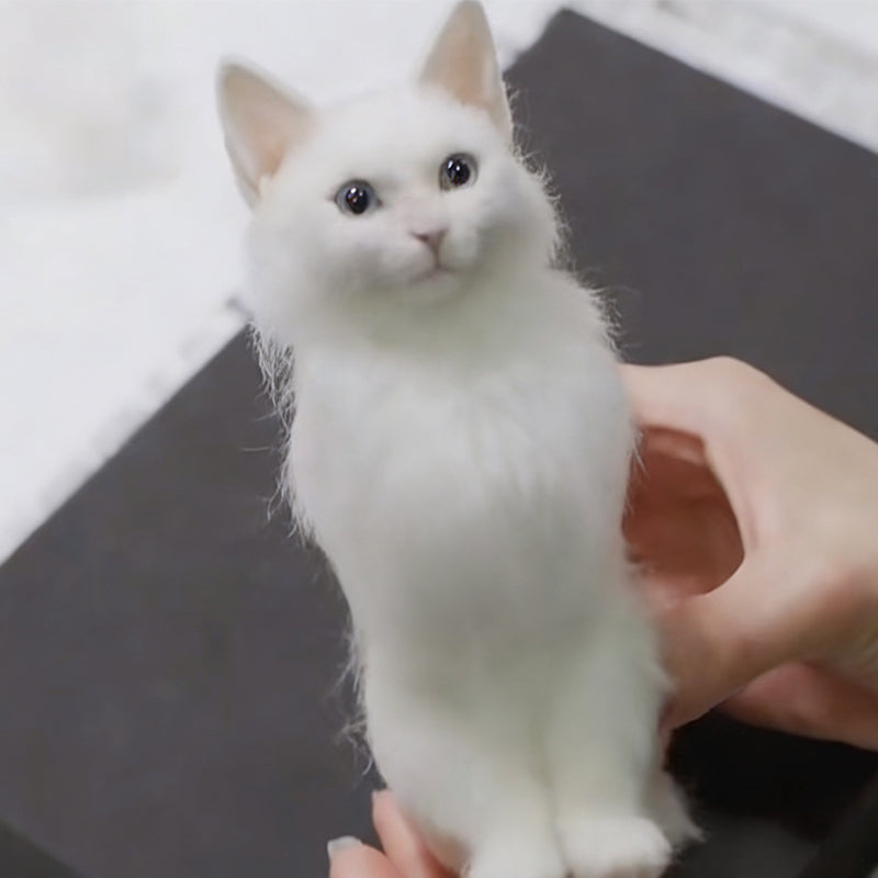 3D Custom Plush Full-Body Pet Portrait