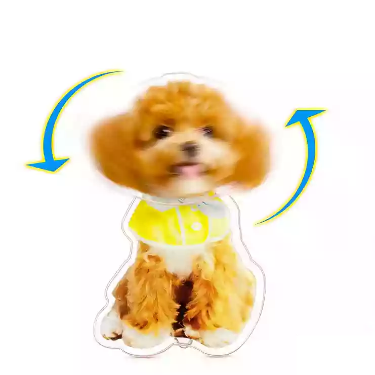 personalized pet photo acrylic keychain with shaking effect
