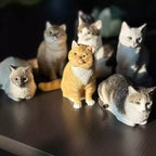 set of custom 3D pet refrigerator magnets displayed together
