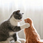 Custom 3D Wool Felt Pet Portrait from Photo | Momofelt