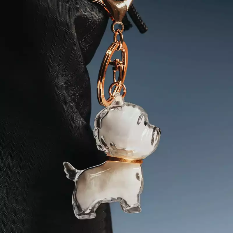 pet hair keepsake capsule keychain hanging on bag