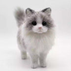 pet photo reference for a custom 3D bendable cat figure
