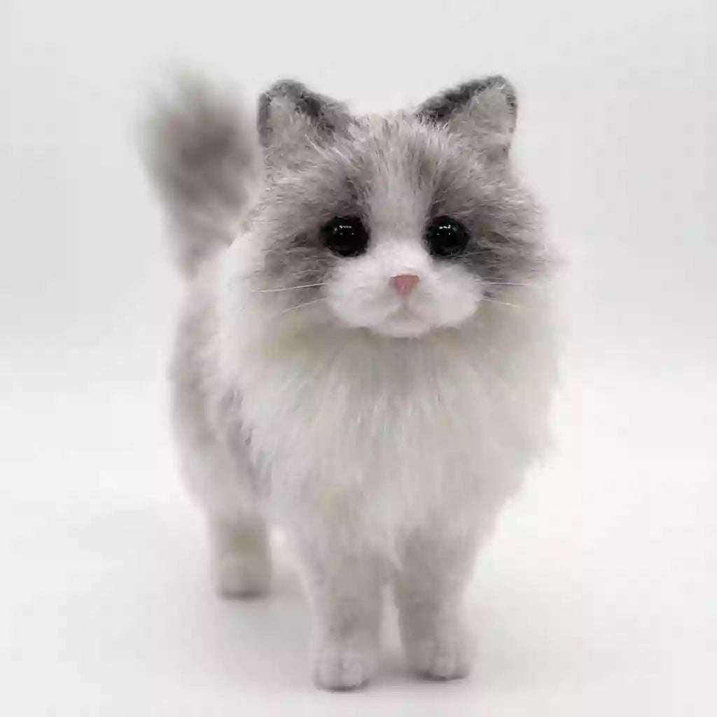 pet photo reference for a custom 3D bendable cat figure
