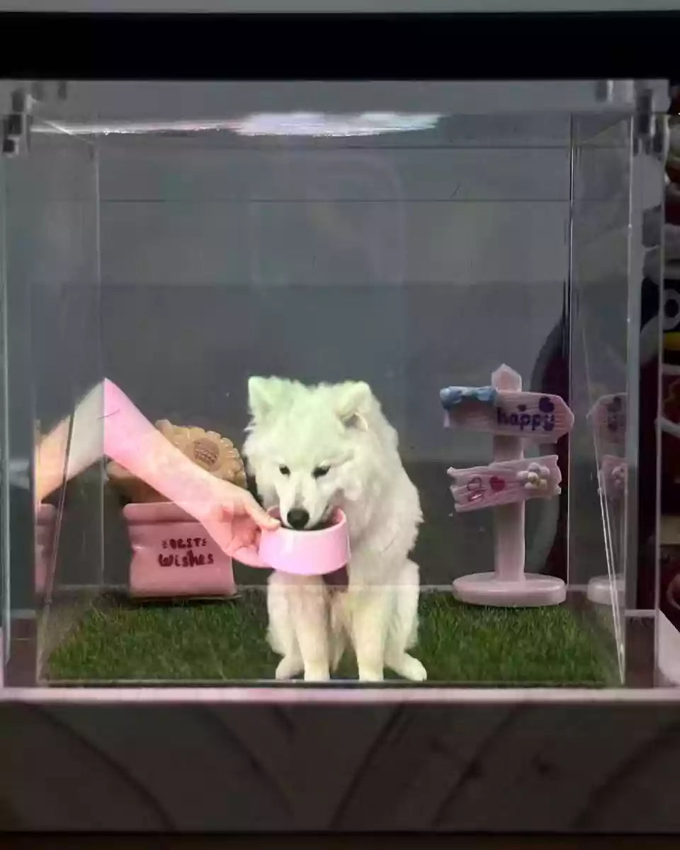 Custom pet room display featuring the white dog in a detailed miniature interior scene, with an owner-and-pet interaction photo shown on the screen.