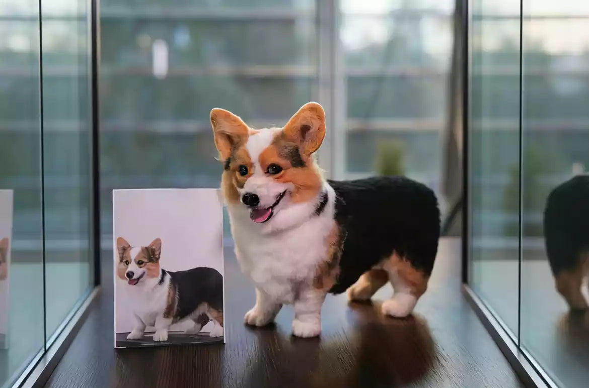 Custom 3D needle-felted corgi replica on a table beside the reference photo.