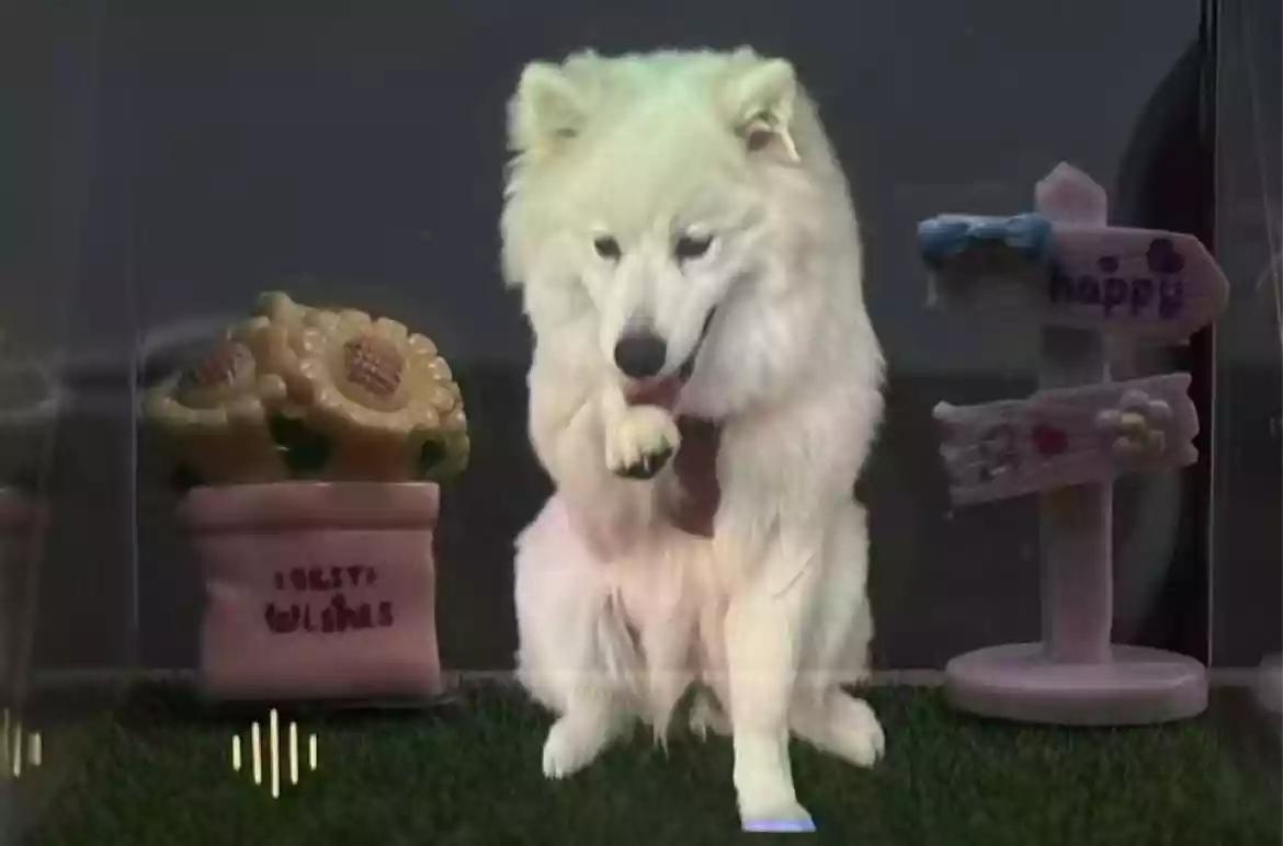 Finished custom miniature pet room scene with the white dog figure placed in a cozy indoor setting