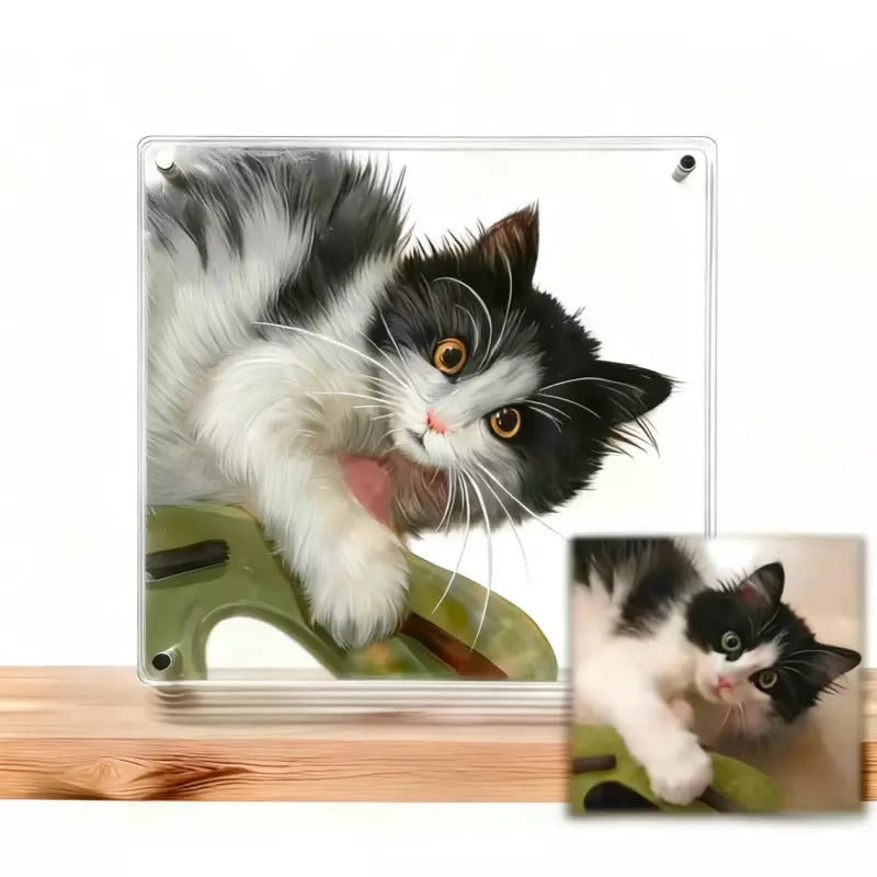 Custom acrylic cat portrait in a shadow box frame with the reference photo shown beside it.
