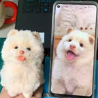 two custom 3D bendable pet figures shown with the photo reference on a phone

