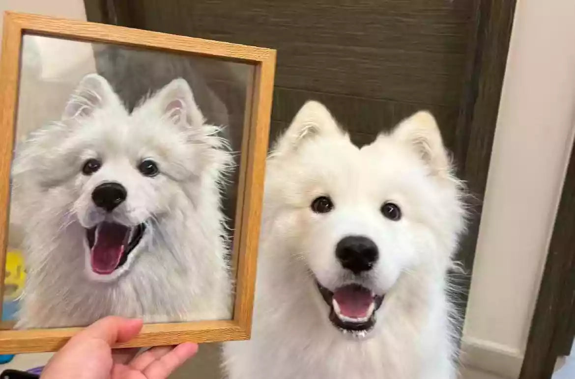 Side-by-side: clear acrylic framed custom dog portrait next to the real white dog.