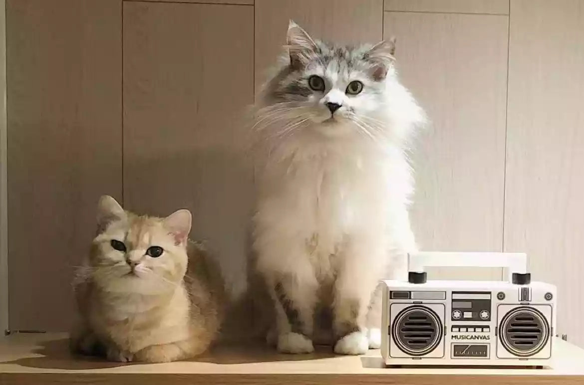 Custom 3D needle-felted cat replicas displayed on a shelf with a small radio.